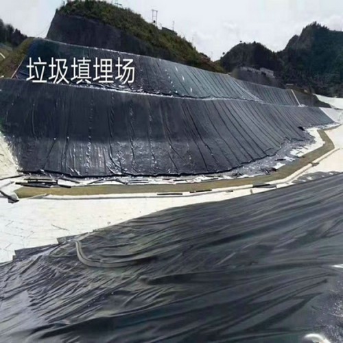 宿遷膨潤(rùn)土防水毯技術(shù)指標(biāo) 2.0mm防滲膜廠家批發(fā)