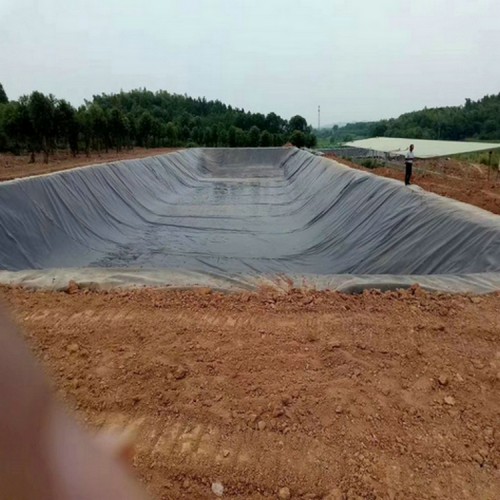 養牛場1.5mm沼液池防滲膜 1.5mmHDPE土工膜沼液池防滲膜