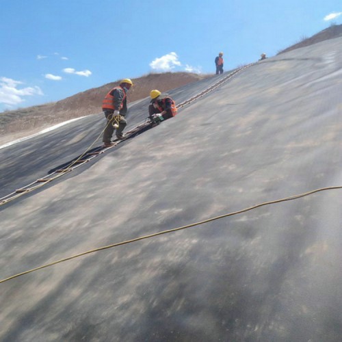 尾礦壩防滲用1.0mm土工膜生產廠家