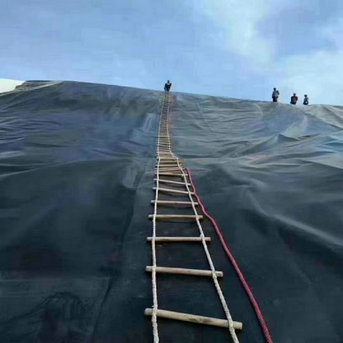 養(yǎng)殖場厭氧塘1.5mm雙色土工膜價格 0.40mm土工膜廠家自產自銷