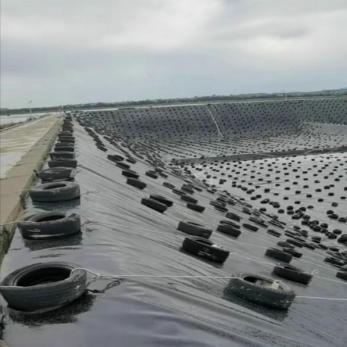 寬幅黑色土工膜 0.6mmHDPE土工膜精選廠家