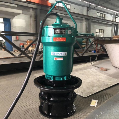 立式潛水軸流泵ZQB22kw