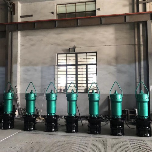 ZQB-22潛水軸流泵