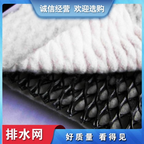 排水網(wǎng) 三維復(fù)合排水網(wǎng) 復(fù)合土工排水網(wǎng)
