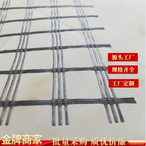 玻纖格柵 玻璃纖維土工格柵 玻纖格柵廠家