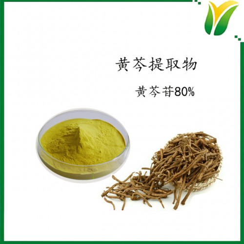 黃芩提取物 黃芩甙80% 植物提取物