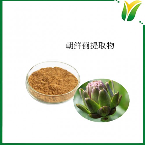 朝鮮薊提取物 洋薊酸2.5% 朝薊素 植物提取物