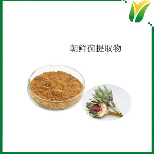 朝鮮薊提取物 洋薊酸5% 植物提取物
