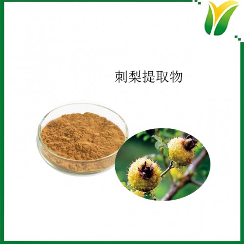刺梨提取物5：1 植物提取物 刺菠蘿提取物