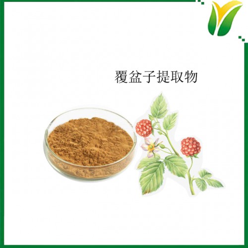 植物提取物 覆盆子提取物10：1 懸鉤子提取物