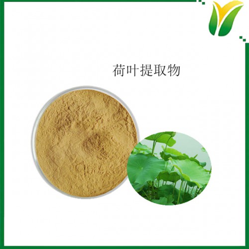 荷葉提取物 荷葉堿2% HPLC檢測(cè) 植物提取物