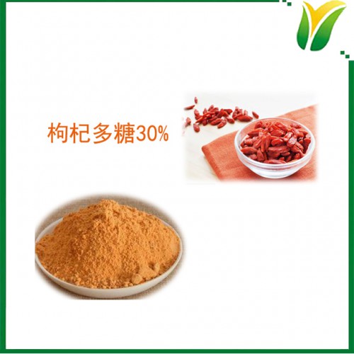 枸杞提取物 枸杞果粉枸杞多糖30% 植物提取物