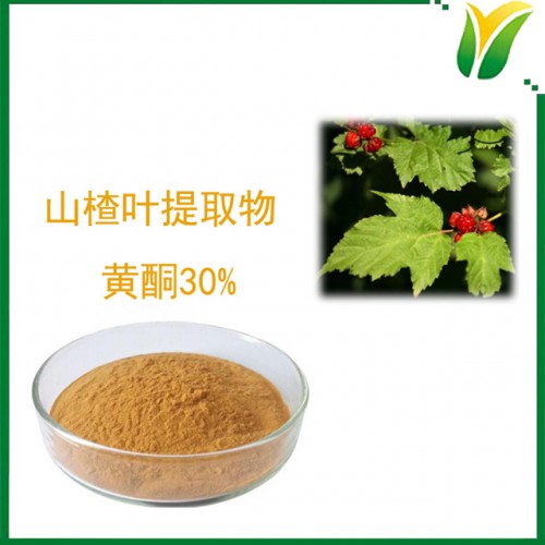 山楂葉提取物 山楂葉黃酮30% 植物提取物