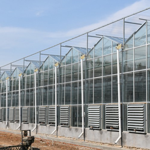 國聚溫室 現代溫室大棚現貨供應商 溫室大棚建設廠家