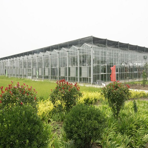 定制玻璃溫室大棚 玻璃溫室廠家 連棟玻璃溫室設計與安裝