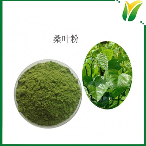 桑葉粉 脫水桑葉粉 桑樹葉生粉 植物提取物