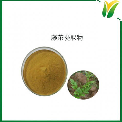 植物提取物 二氫楊梅素60% 藤茶提取物