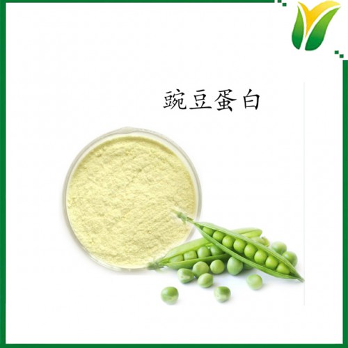 豌豆提取物 豌豆蛋白60% 豌豆蛋白質粉 植物提取物