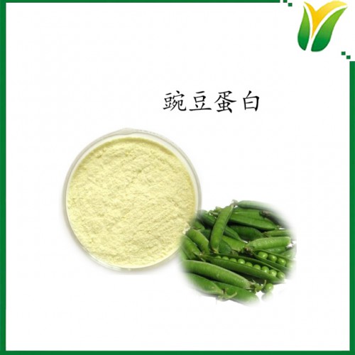 豌豆蛋白粉 豌豆蛋白質粉80%代餐粉營養補充劑 植物提取物