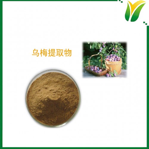 烏梅提取物5:1 烏梅提取粉 植物提取物