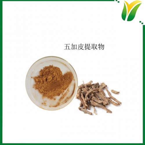 五加皮提取物5:1 細柱五加萃取粉 植物提取物