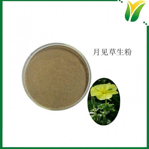 月見草粉 晚櫻草生粉 月見草生粉 植物提取物