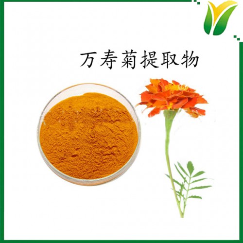 葉黃素酯5% Lutein ester 萬壽菊植物提取物