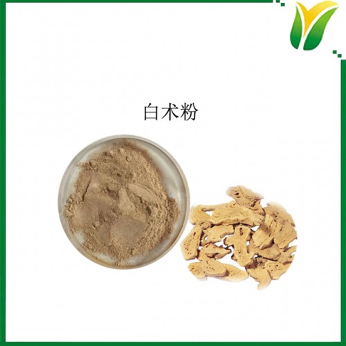白術粉 白術生粉 白術原料粉 植物提取物