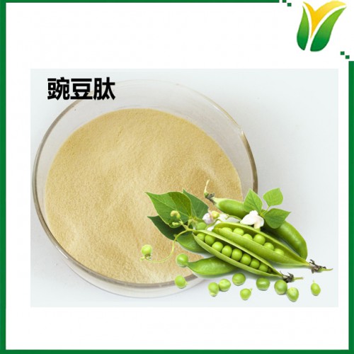 豌豆肽 水解蛋白豌豆肽粉 豌豆多肽 植物提取物