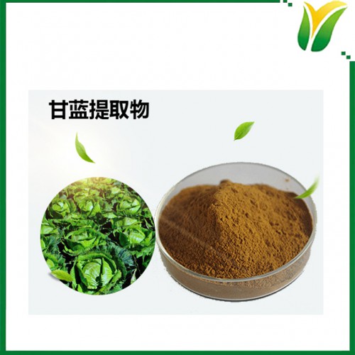 甘藍提取物10：1 包菜比例提取物 植物提取物
