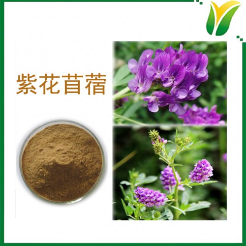 紫花苜蓿提取物 皂甙20% 植物提取物