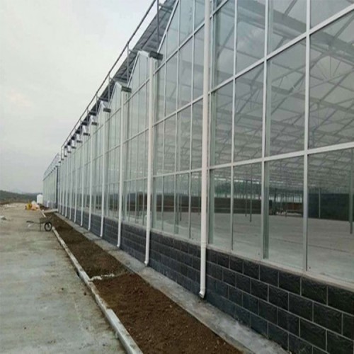 安裝設計溫室大棚工程 蔬菜溫室骨架供應商 國聚溫室