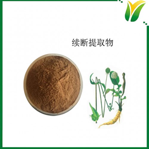 續(xù)斷提取物10:1 續(xù)斷萃取粉 植物提取物