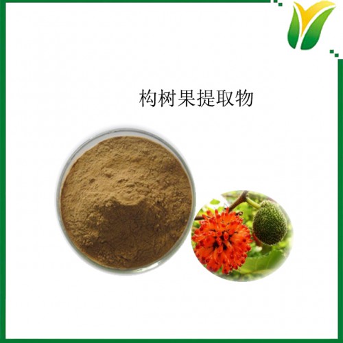 構(gòu)樹果提取物5：1  植物提取物
