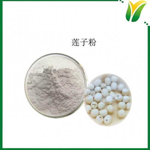 蓮子粉 蓮子生粉 植物提取物