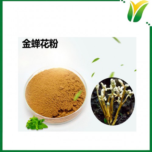 蟬花生粉 金蟬花粉 植物提取物