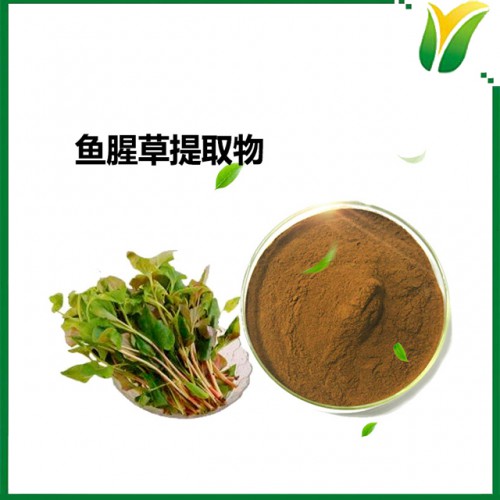 植物提取物 魚腥草提取物5:1 折耳根提取物