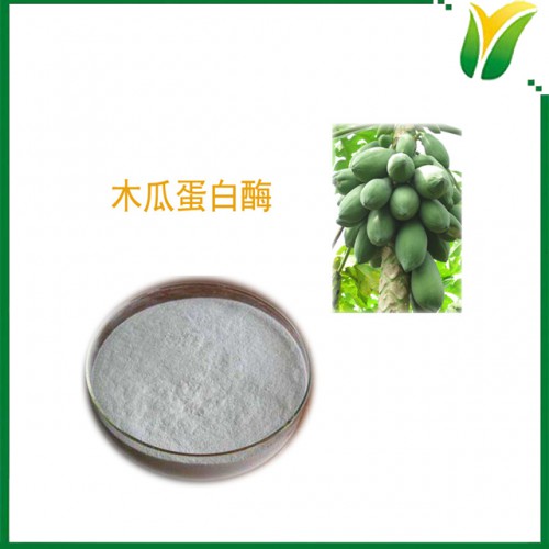 木瓜蛋白酶80萬u/g 木瓜酶粉 植物提取物