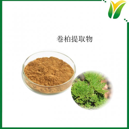 卷柏提取物10：1 九死還魂草提取粉