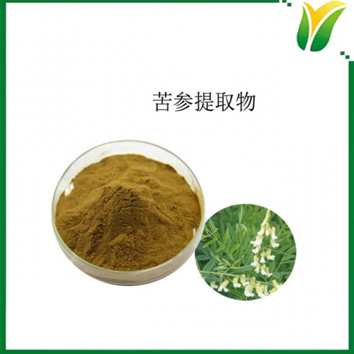 植物提取物 苦參提取物 苦參堿5%