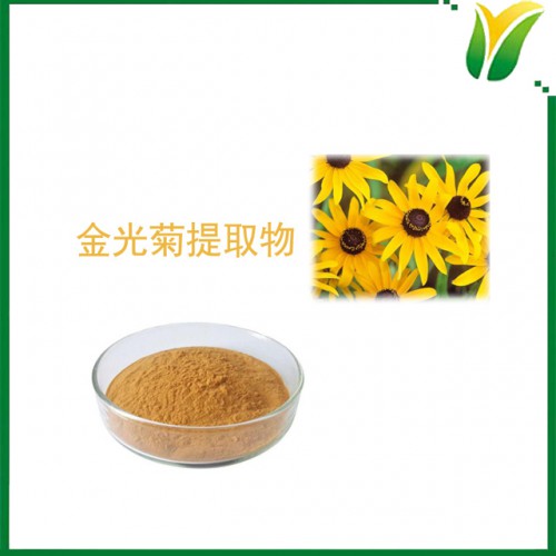 金光菊提取物10：1 植物提取物
