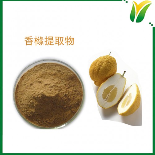 香櫞提取物10:1 枸櫞提取物 植物提取物