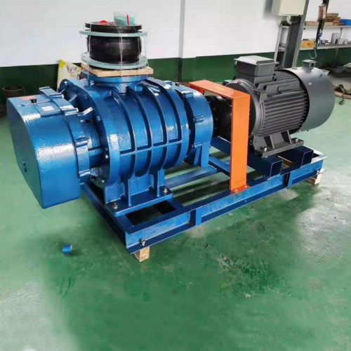 直聯(lián)羅茨風機