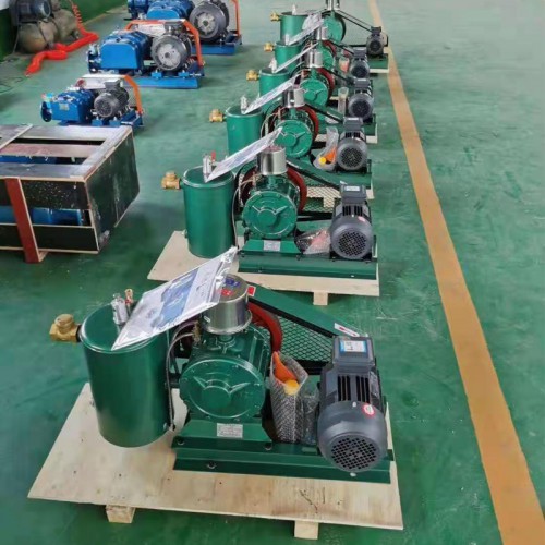 回轉(zhuǎn)式鼓風機