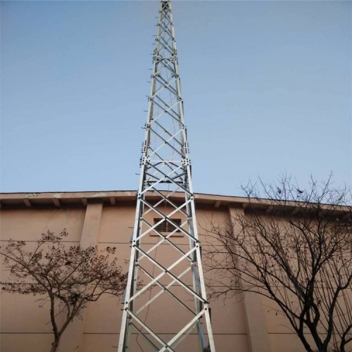 避雷針廠家直銷 鋼結(jié)構(gòu)避雷針價(jià)格優(yōu)惠