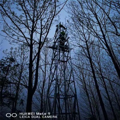 直銷吉林視頻監(jiān)控塔廠 供應環(huán)境監(jiān)測塔 森林防火監(jiān)控塔