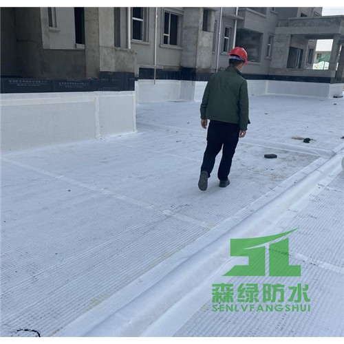 零坡度虹吸排水收集系統 ped14高分子排水異形片自粘土工布