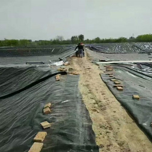 防滲土工膜、防滲土工布、魚塘防滲膜公司廠家直供價格優惠