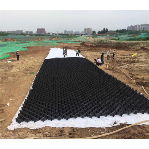 PE土工格室 護坡用土工格室 蜂巢格室價格