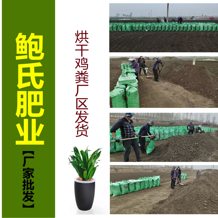 鮑氏烘干雞糞發貨